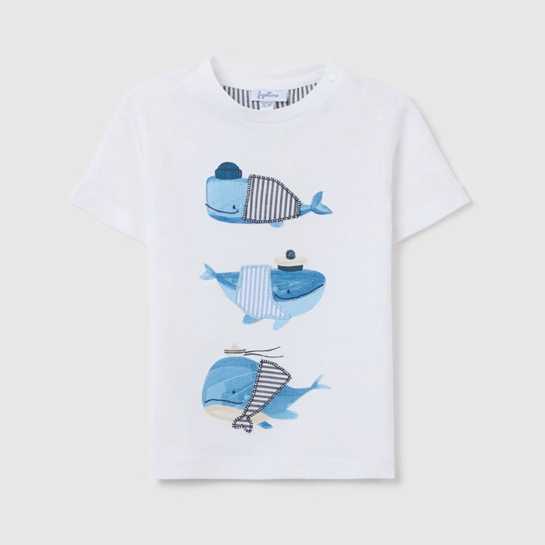 BABY T-SHIRTS  9-12