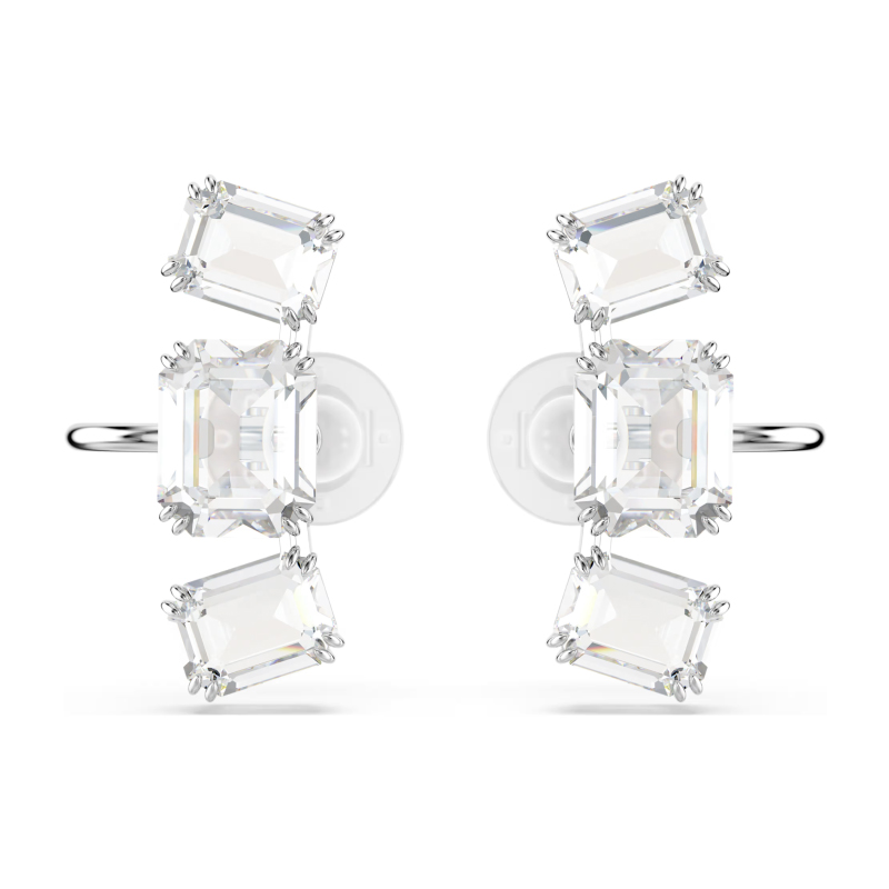 MILLENIA:CE CRYIGNIT/RHS