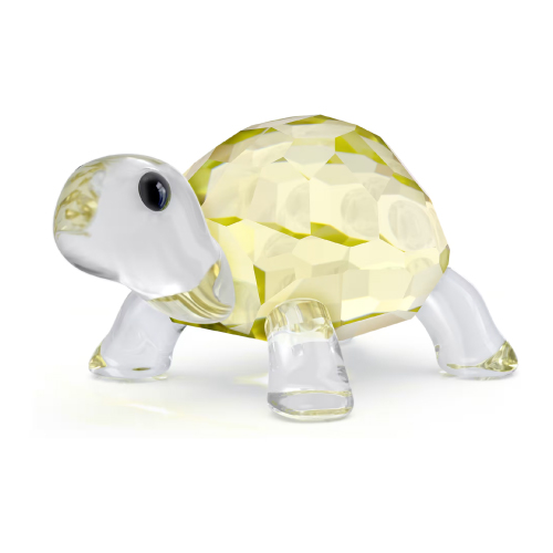 IDYLLIA:BABY TORTOISE