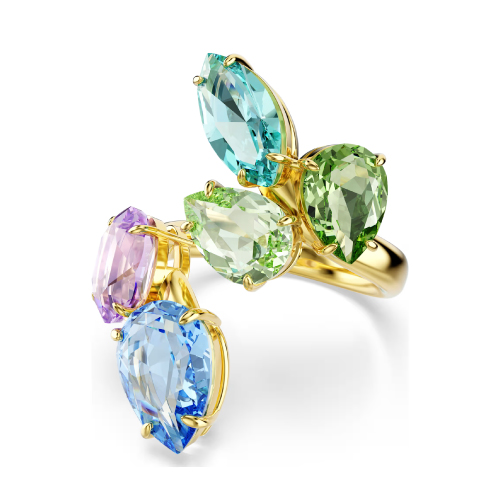 GEMA:RING OPEN MUL/GOS 55