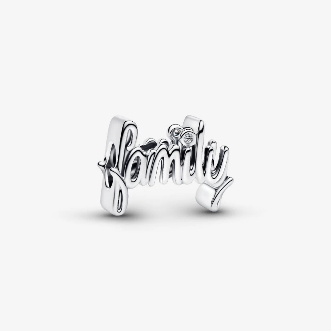 Family sterling silver charm with clear cubic zirconia