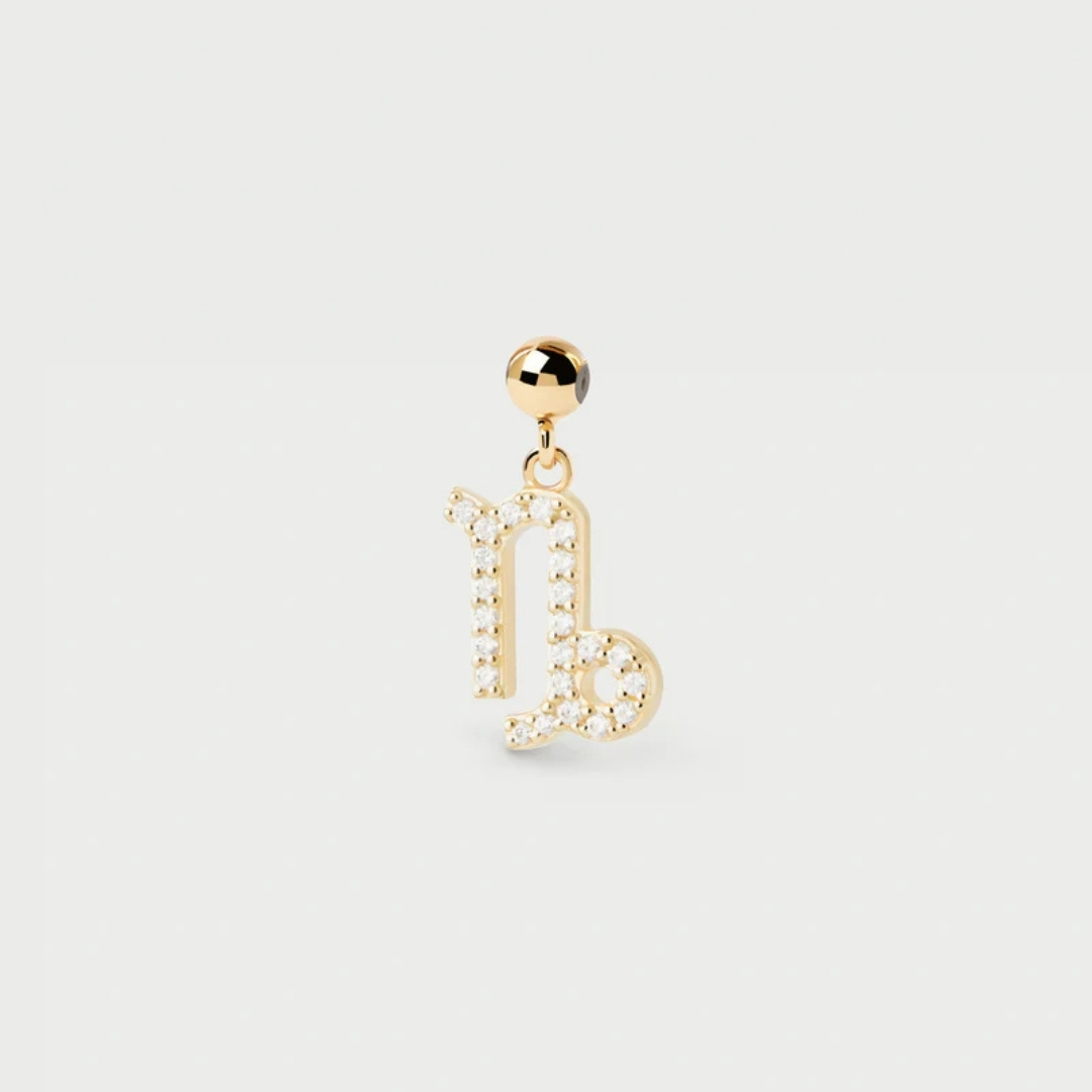 CH Capricorn Zodiac Charm U